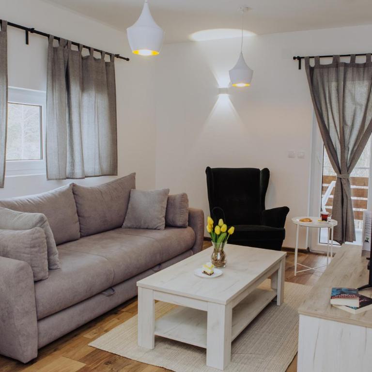 Planinsko srce - Apartman sa 1 Spavaćom Sobom - 5