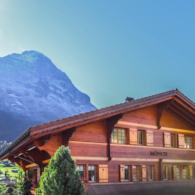 Excellent flat with a fantastic view of the Eiger! - Appartamento - 1