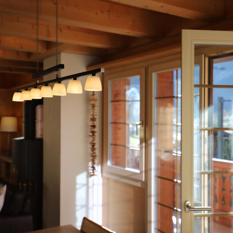 Excellent flat with a fantastic view of the Eiger! - Appartamento - 21