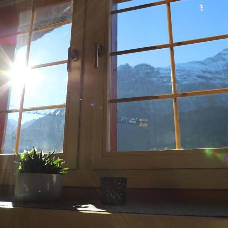 Excellent flat with a fantastic view of the Eiger! - Appartamento - 14
