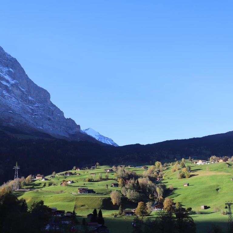 Excellent flat with a fantastic view of the Eiger! - Appartamento - 29