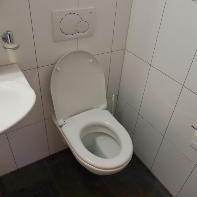 Excellent flat with a fantastic view of the Eiger! - Appartamento - 36