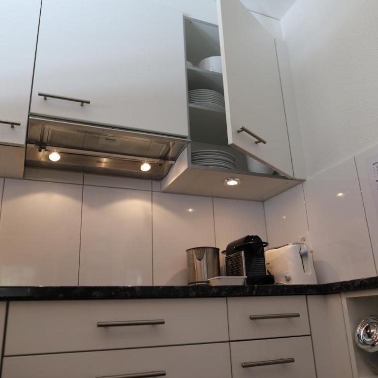 Excellent flat with a fantastic view of the Eiger! - Appartamento - 22
