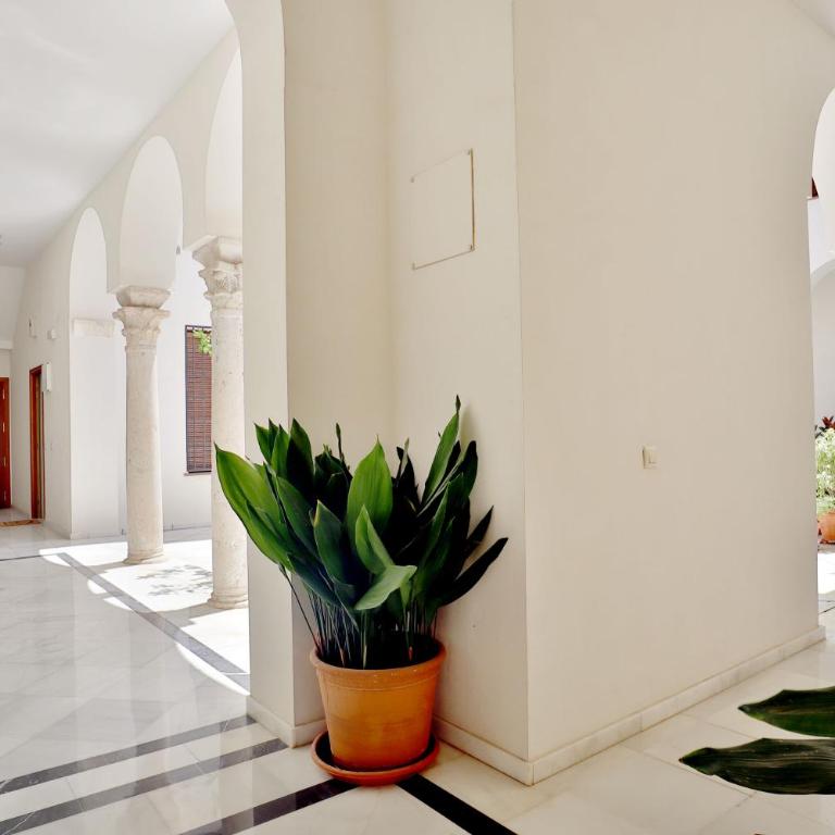 Pedro Lopez Free Parking Cordoba Center - Apartamento - 18
