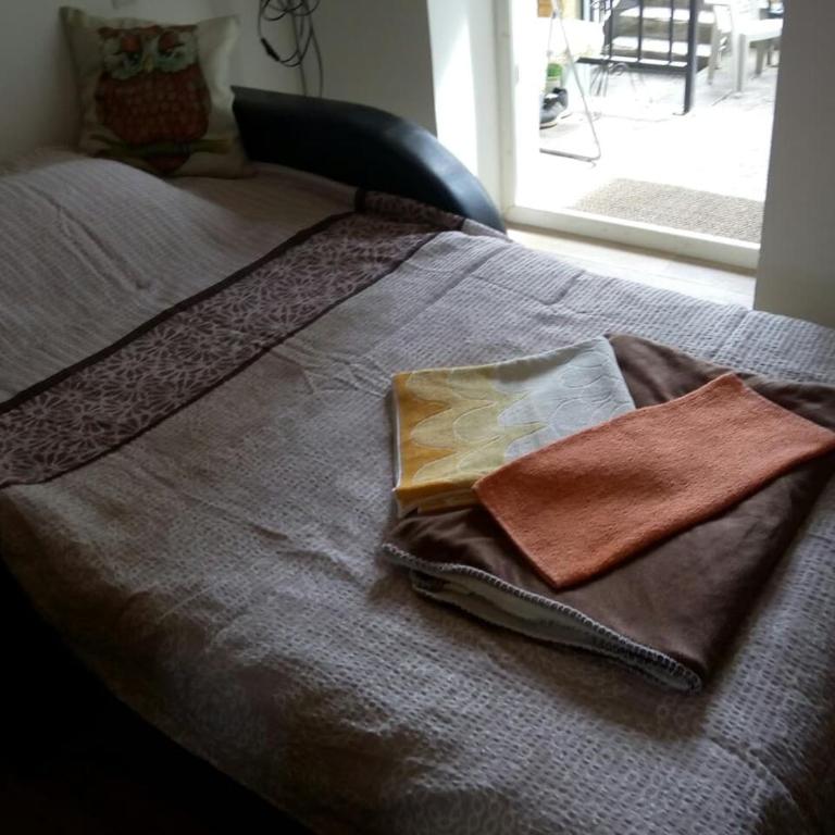 Sokobanja Apartmani - Apartman - Prizemlje - 6