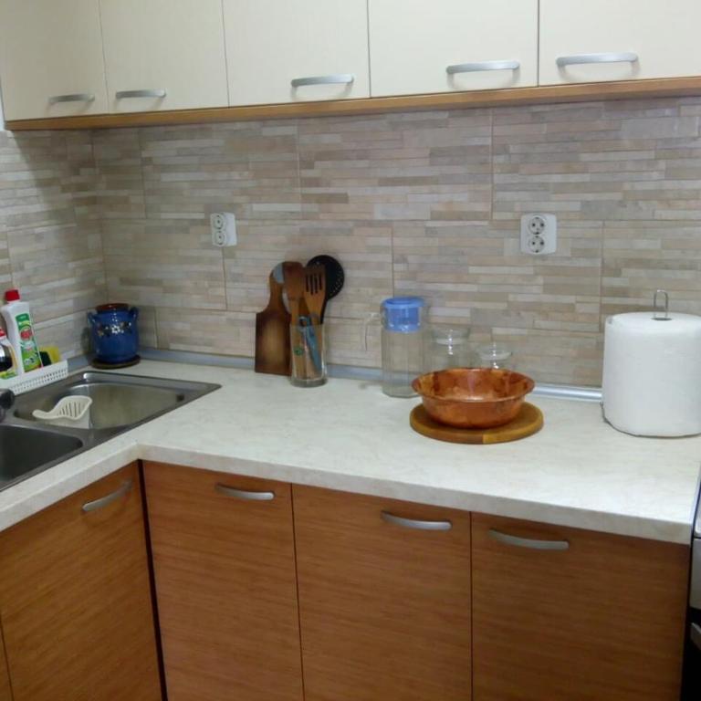 Sokobanja Apartmani - Apartman - Prizemlje - 4