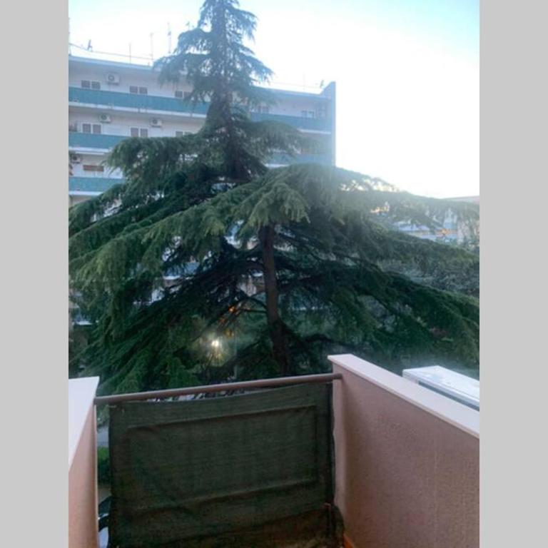 Residenza Giovanni Paolo Secondo- Casa sull’albero - One-Bedroom Apartment - 1