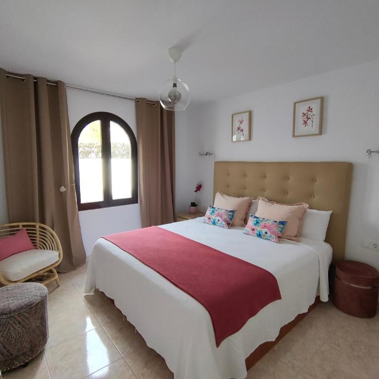 Flor De Cactus - Apartamento de 1 dormitorio - 10