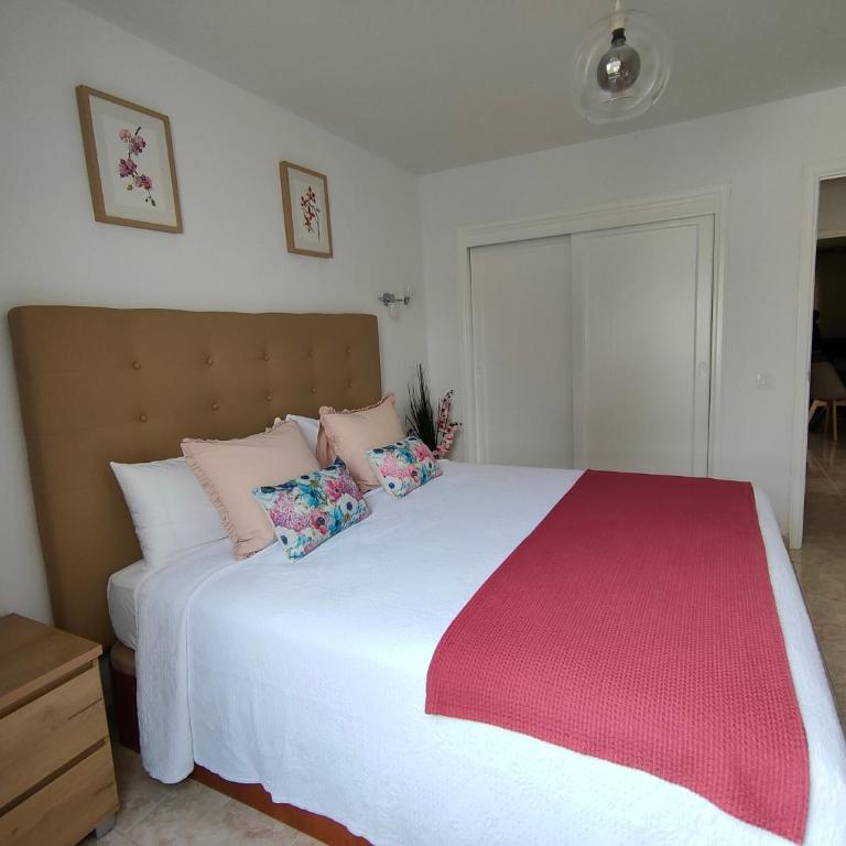 Flor De Cactus - Apartamento de 1 dormitorio - 13