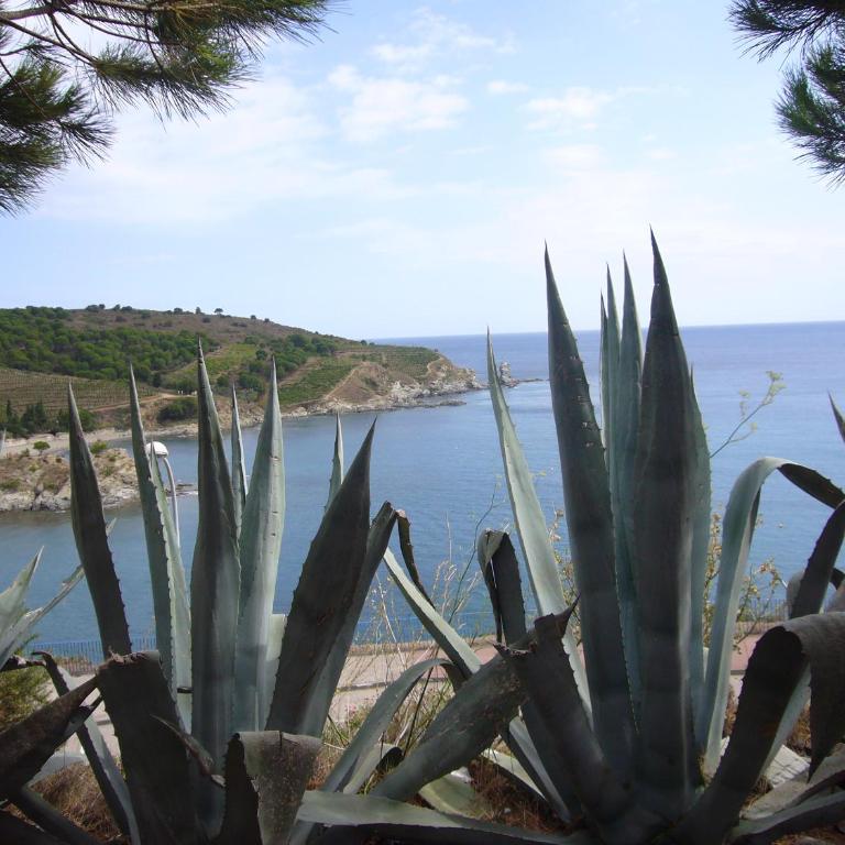WEEK END EVASION A BANYULS SUR MER DANS PYRENEES ORIENTALES - One-Bedroom Apartment - 8