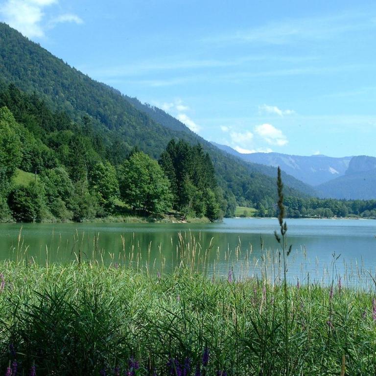 Ferienhaus Wimmer - Ferienhaus - 38