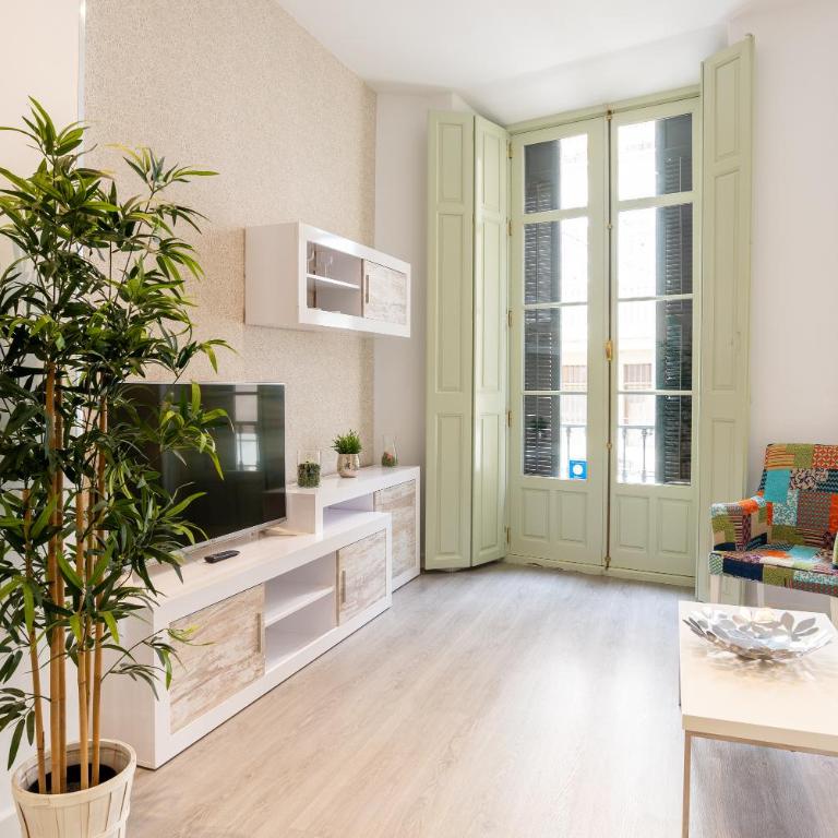 Homemalaga Constitución - Apartamento de 1 dormitorio - 1