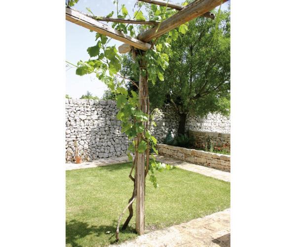 Agriturismo Antonelli Piangevino - Camera Matrimoniale con Vista Giardino - 2