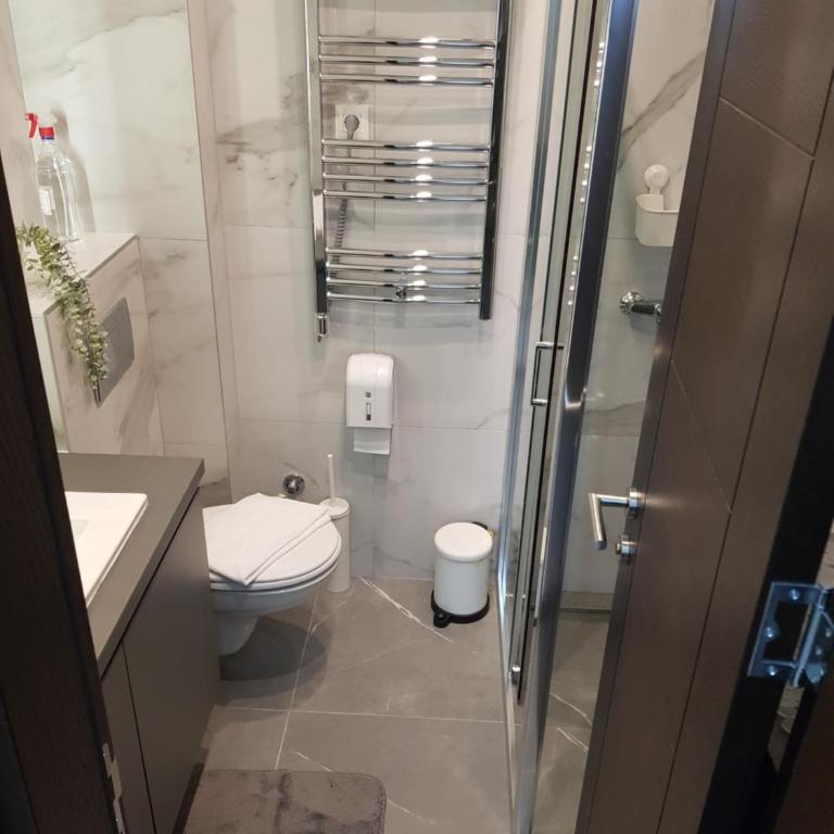 Apartman Lola Titova vila Zlatibor - Apartman sa 1 Spavaćom Sobom - 12