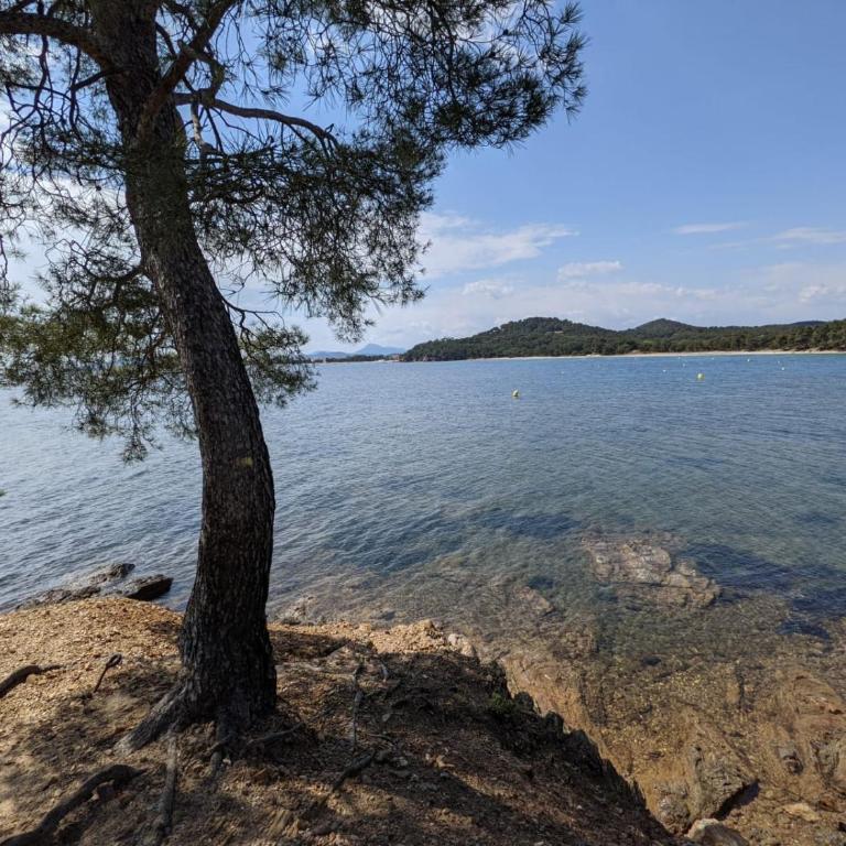 Appartement " le grand bleu " à 3 min de la plage - Appartement 1 Chambre - 17