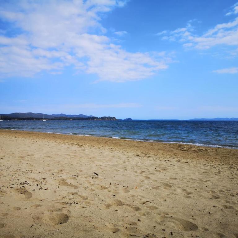 Appartement " le grand bleu " à 3 min de la plage - Appartement 1 Chambre - 18