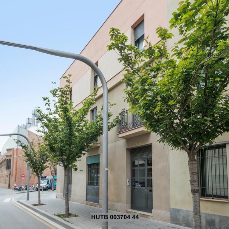 Alcam Anglesola - One-Bedroom Apartment (4 Adults) - 19