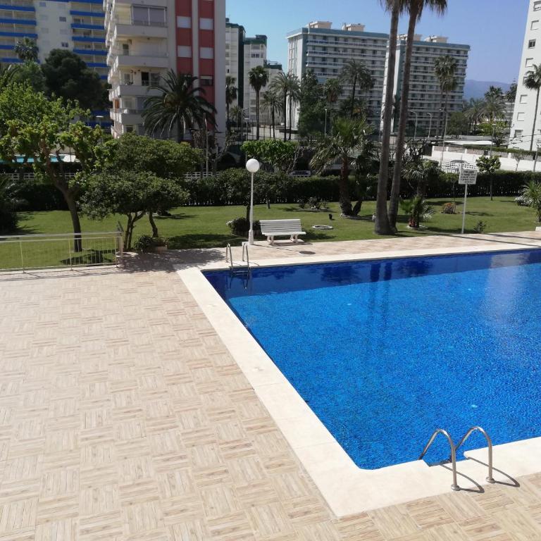 Don Ximo Solo Familia Serviplaya - Apartamento Deluxe - 5