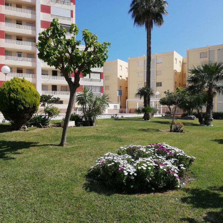 Don Ximo Solo Familia Serviplaya - Apartamento Deluxe - 8