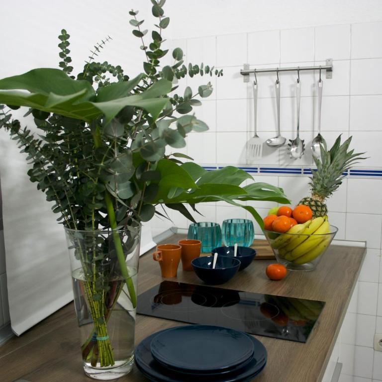 BeHouse Plaza del Salvador - Apartamento con terraza - 12