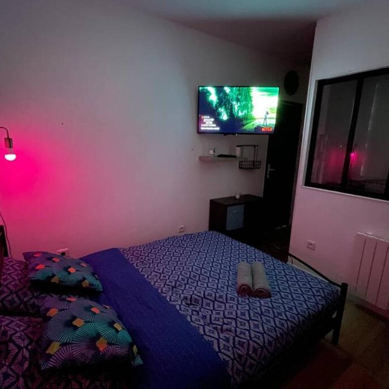 Studio NETFLIX Unique Amiens - Appartamento - Piano Terra - 5