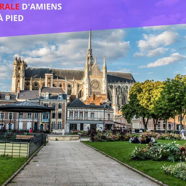 Studio NETFLIX Unique Amiens - Appartamento - Piano Terra - 20