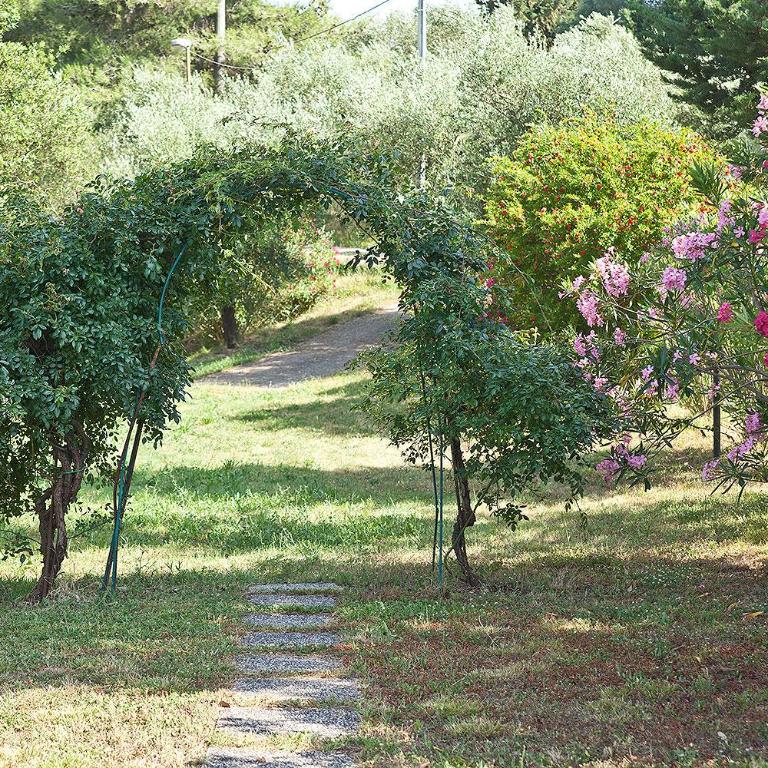 Podere l'Ulivo - Villa con Piscina Privata - 19