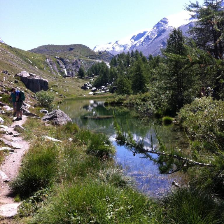 Hausroc-Zermatt - Apartamento de 1 dormitorio - 30