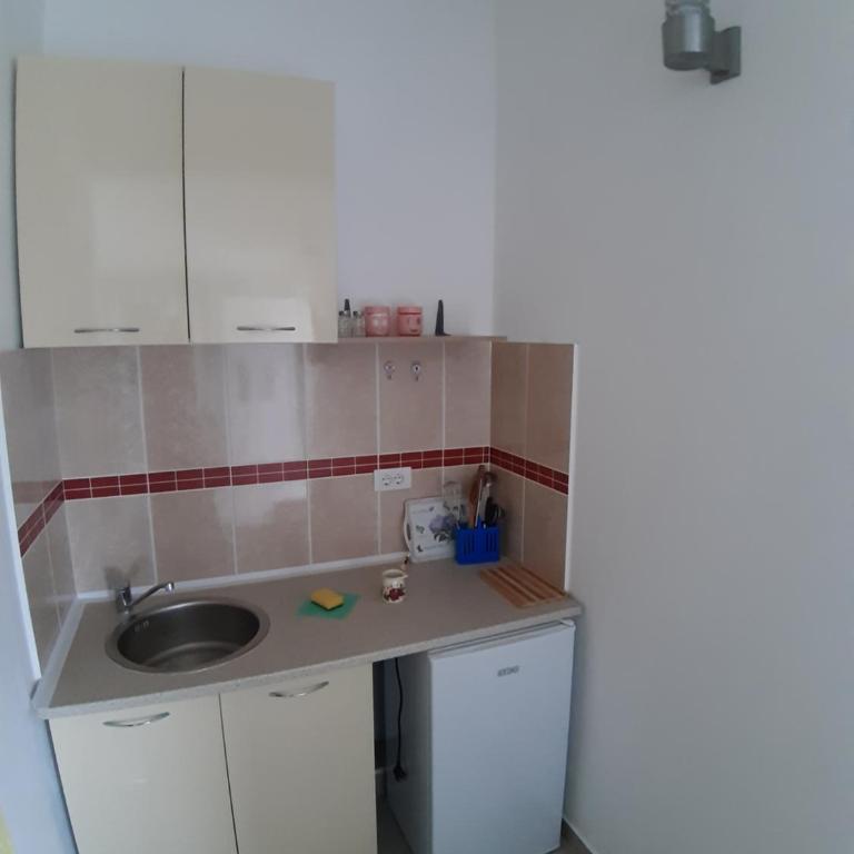 Apartments Snezana - Apartment with Balcony - 6