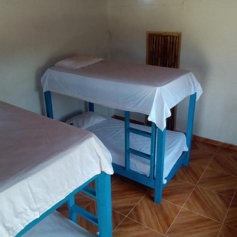 Urantia Beach Hostel & Surf Camp - Cama individual en habitación compartida - 5