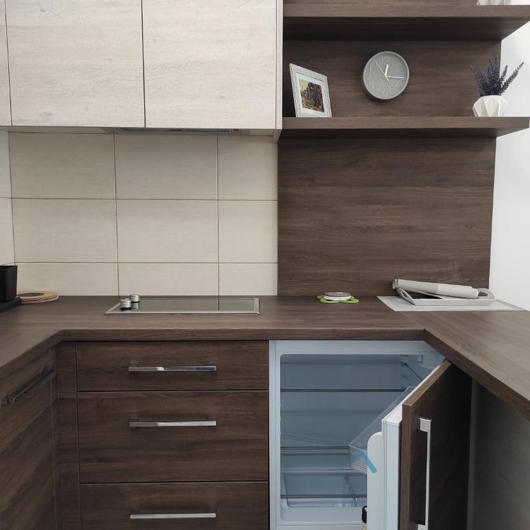 Studio apartman Dani - Apartman sa 1 Spavaćom Sobom - 8