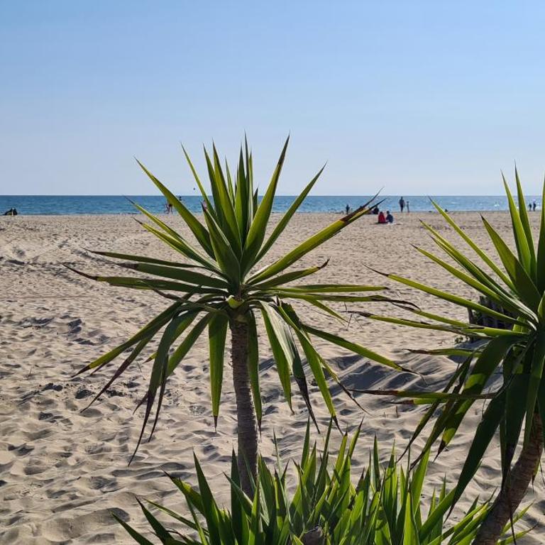 Joli T2 avec jardin plage Richelieu - 6 personnes - Appartement - Vue sur Jardin - 9