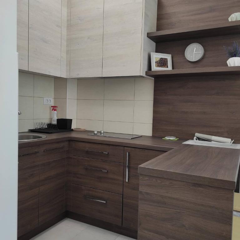 Studio apartman Dani - Apartman sa 1 Spavaćom Sobom - 7