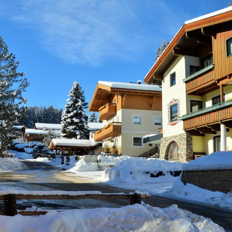 Aparthotel Pinzgau - Apartment - 3
