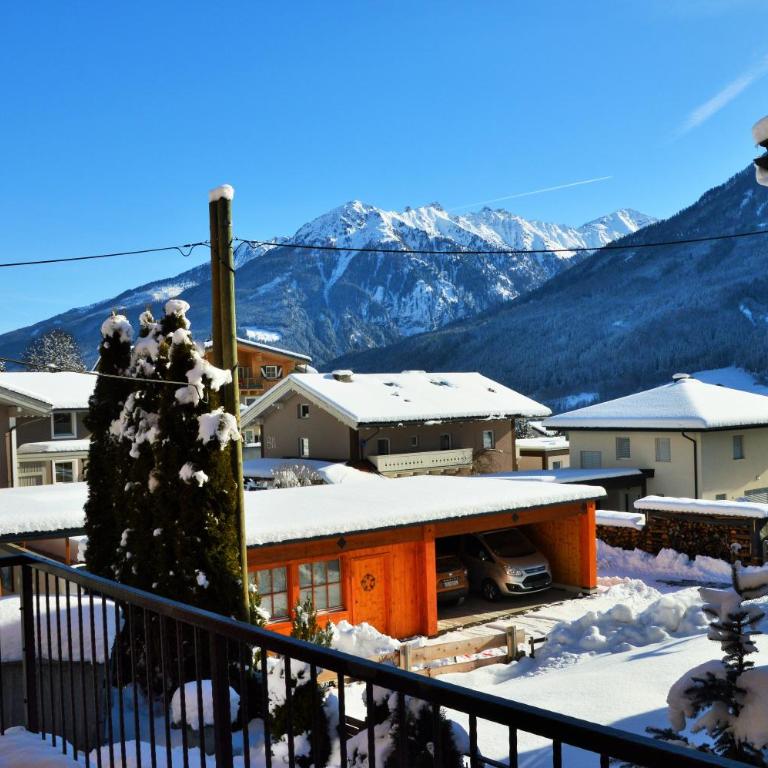Aparthotel Pinzgau - Apartment mit Terrasse - 5