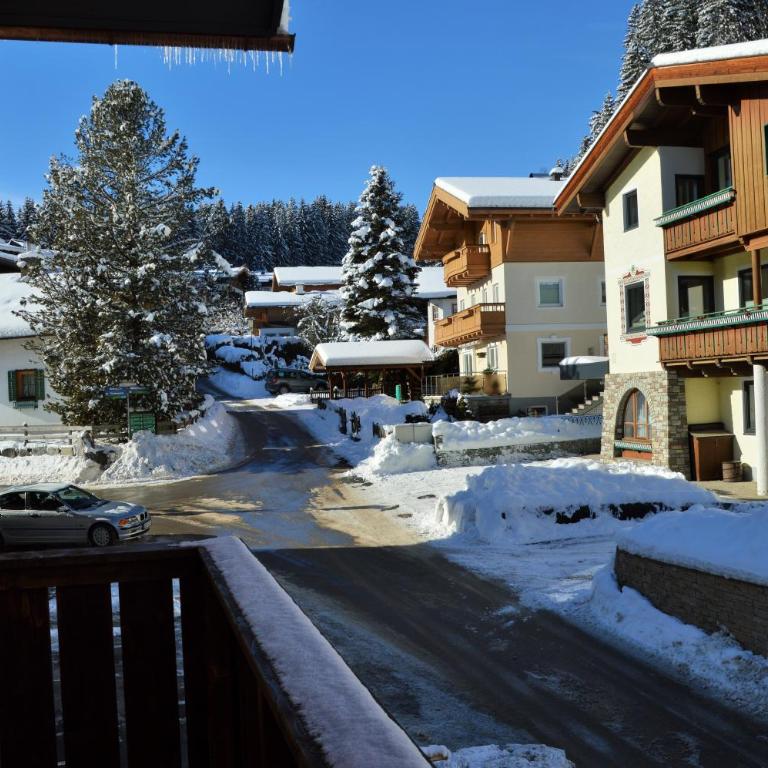 Aparthotel Pinzgau - Apartment mit Balkon - 3