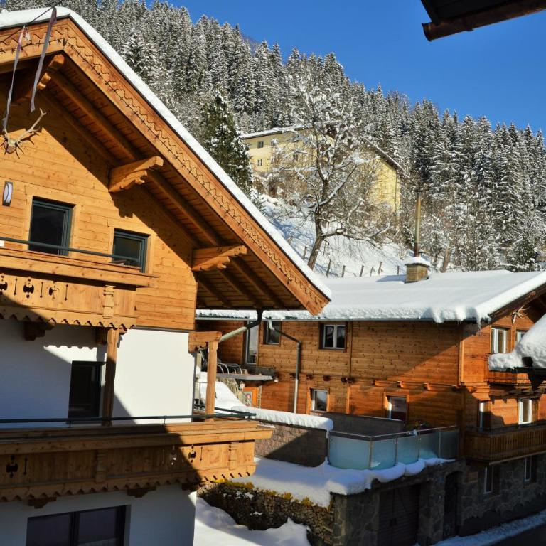 Aparthotel Pinzgau - Standard Apartment - 11