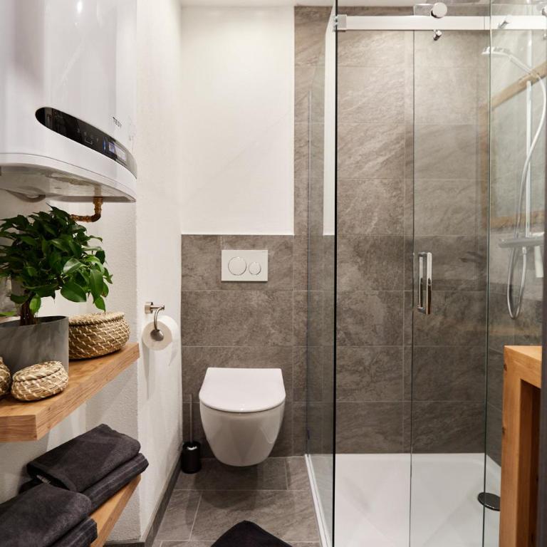 Mäxle Apartments - One-Bedroom Apartment - 8