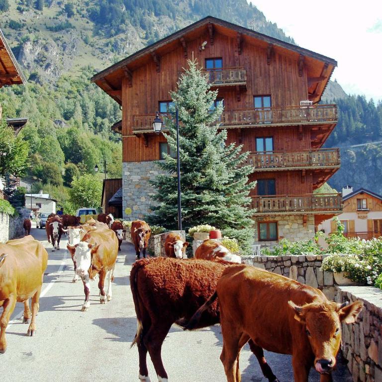 Les Chalets du Bouquetin - Lynx - Appartement avec Balcon - 25