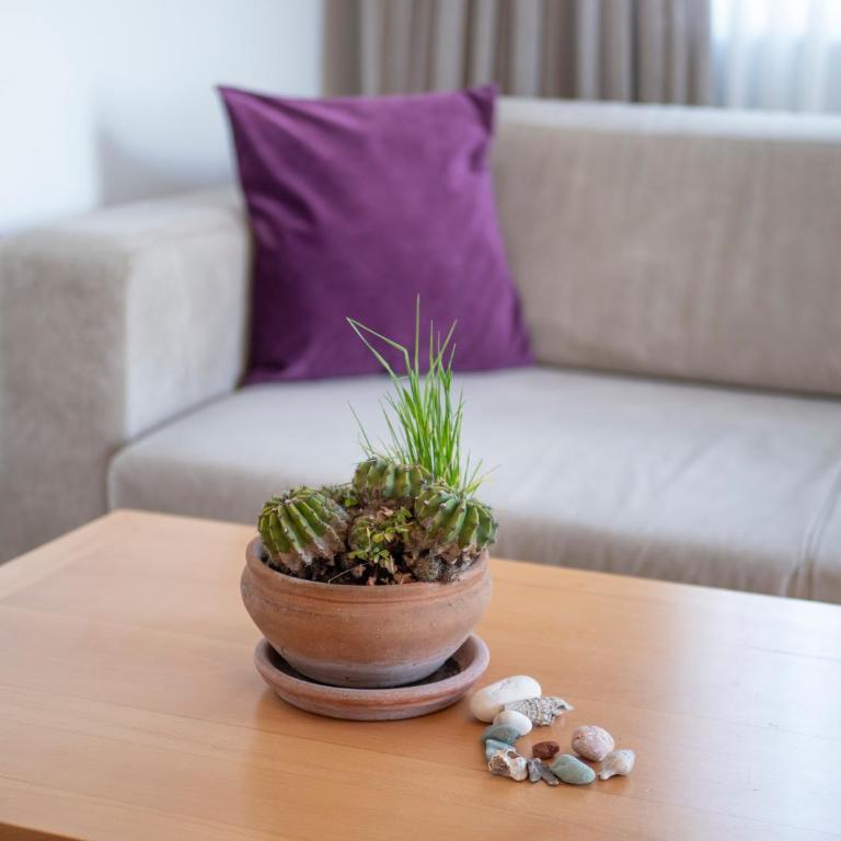 Seaside Rest Apartments - Apartman sa Pogledom na Planinu - 38