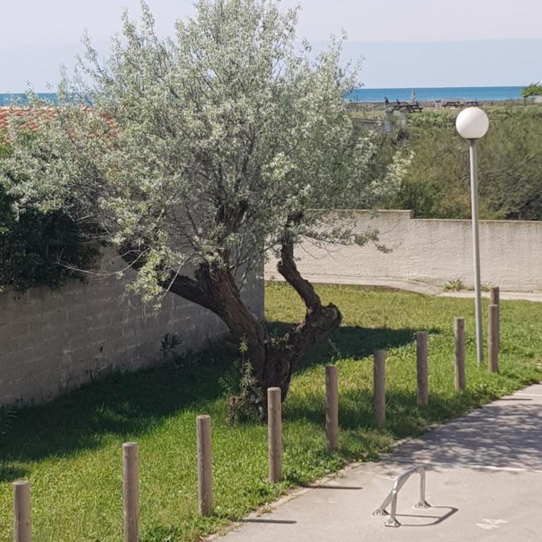 La Rose des Sables, T2 à la mer, terrasse et garage - Appartement 1 Chambre - 17
