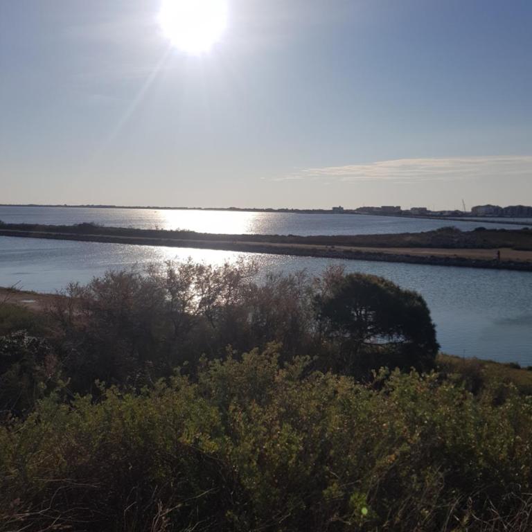 La Rose des Sables, T2 à la mer, terrasse et garage - Appartement 1 Chambre - 29