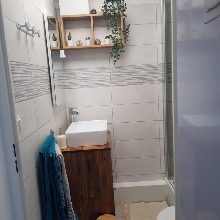La Rose des Sables, T2 à la mer, terrasse et garage - Appartement 1 Chambre - 14
