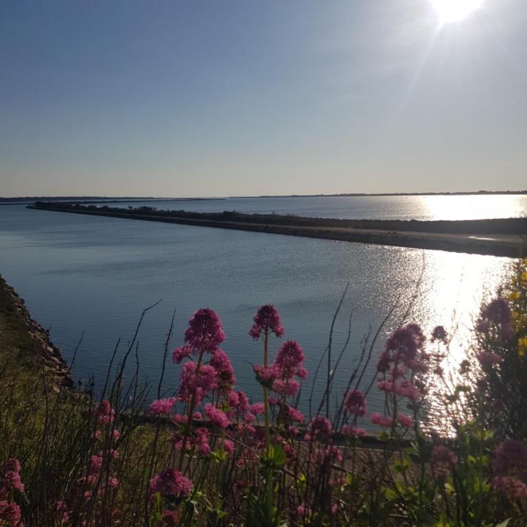 La Rose des Sables, T2 à la mer, terrasse et garage - Appartement 1 Chambre - 28