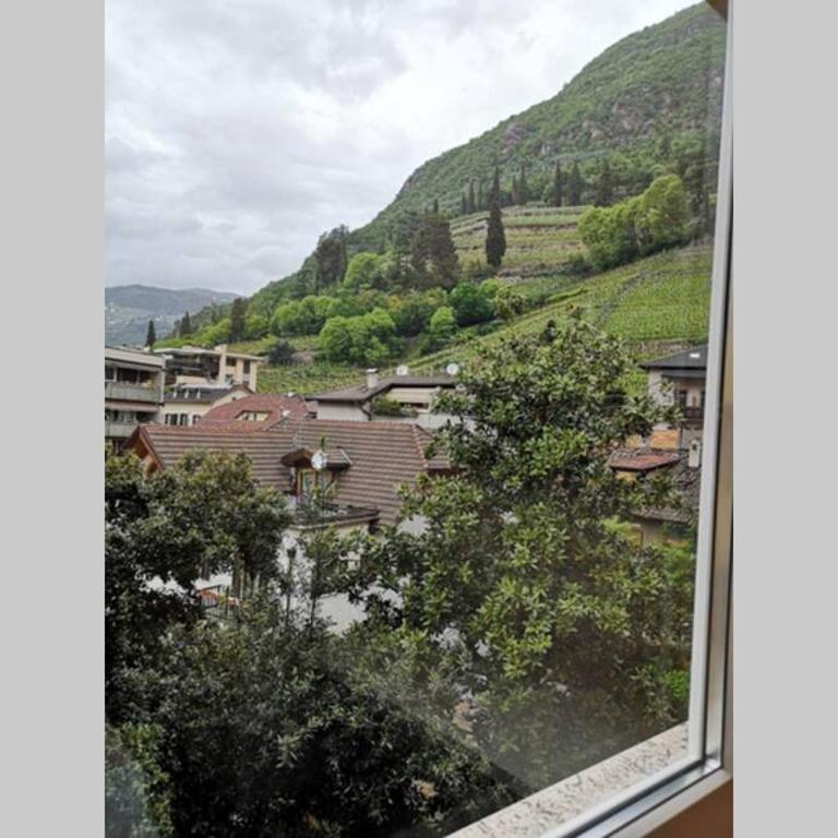 Appartment Barbara - Appartamento con 1 Camera da Letto - 4