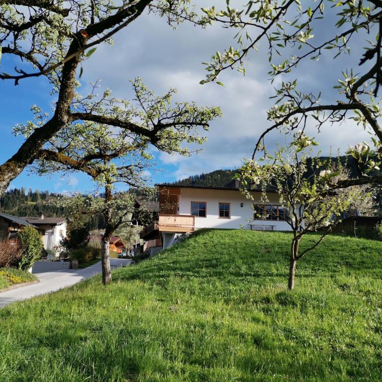 Ferienhaus Weber-Häusl - Haus mit 2 Schlafzimmern - 20