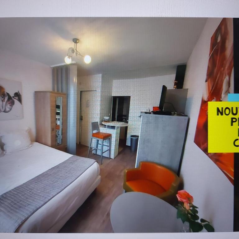 Longchamp-Studio de charme, Coeur de Vichy, quartier calme - Studio - 2