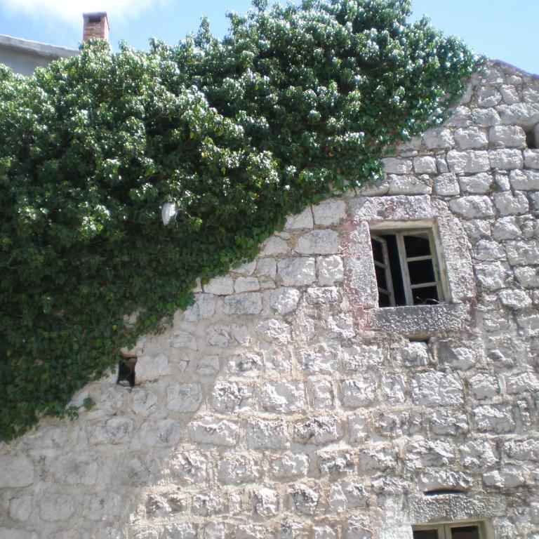 Villa Lidija - Kuća s 3 Spavaće Sobe i Terasom - 43