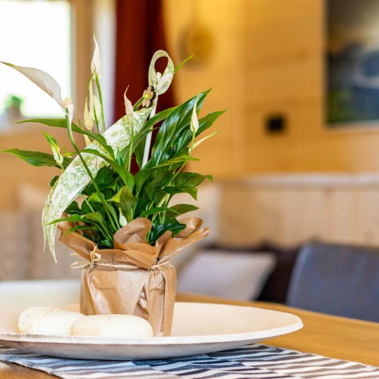 STAUDACH - Alpinresidenz Zillertal - Chalet - 80