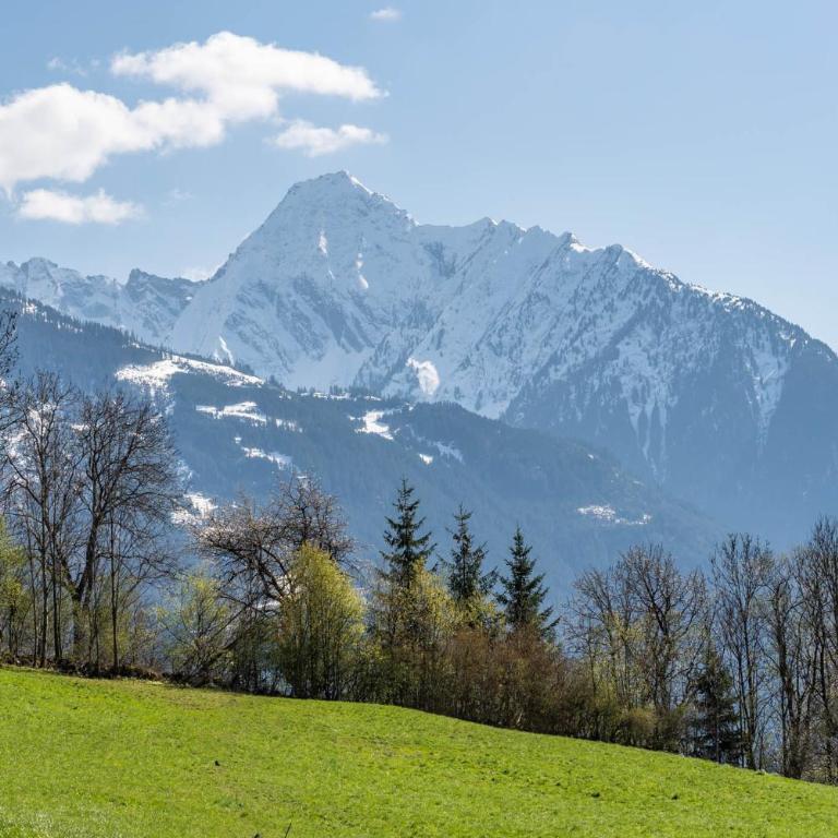 STAUDACH - Alpinresidenz Zillertal - Chalet - 81
